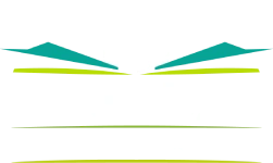 Same Day Property Buyers White Logo